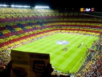 开云体育入口-舞台越大，福克斯越强，灰熊对阵森林狼的季后赛启示