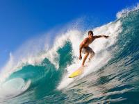 开云足球直播-2026世界杯焦点战，巴萨系球员闪耀，西班牙国家队新王朝的基石