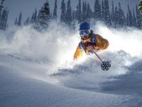 开云APP-范弗利特，攻防转换的心脏，上海队最后时刻绝杀黄蜂