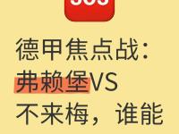 开云体育app-弗赖堡主场不敌对手，遭遇连续失利的简单介绍