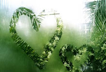 开云体育直播-印尼队翻盘日本队，陈雨菲带队取胜